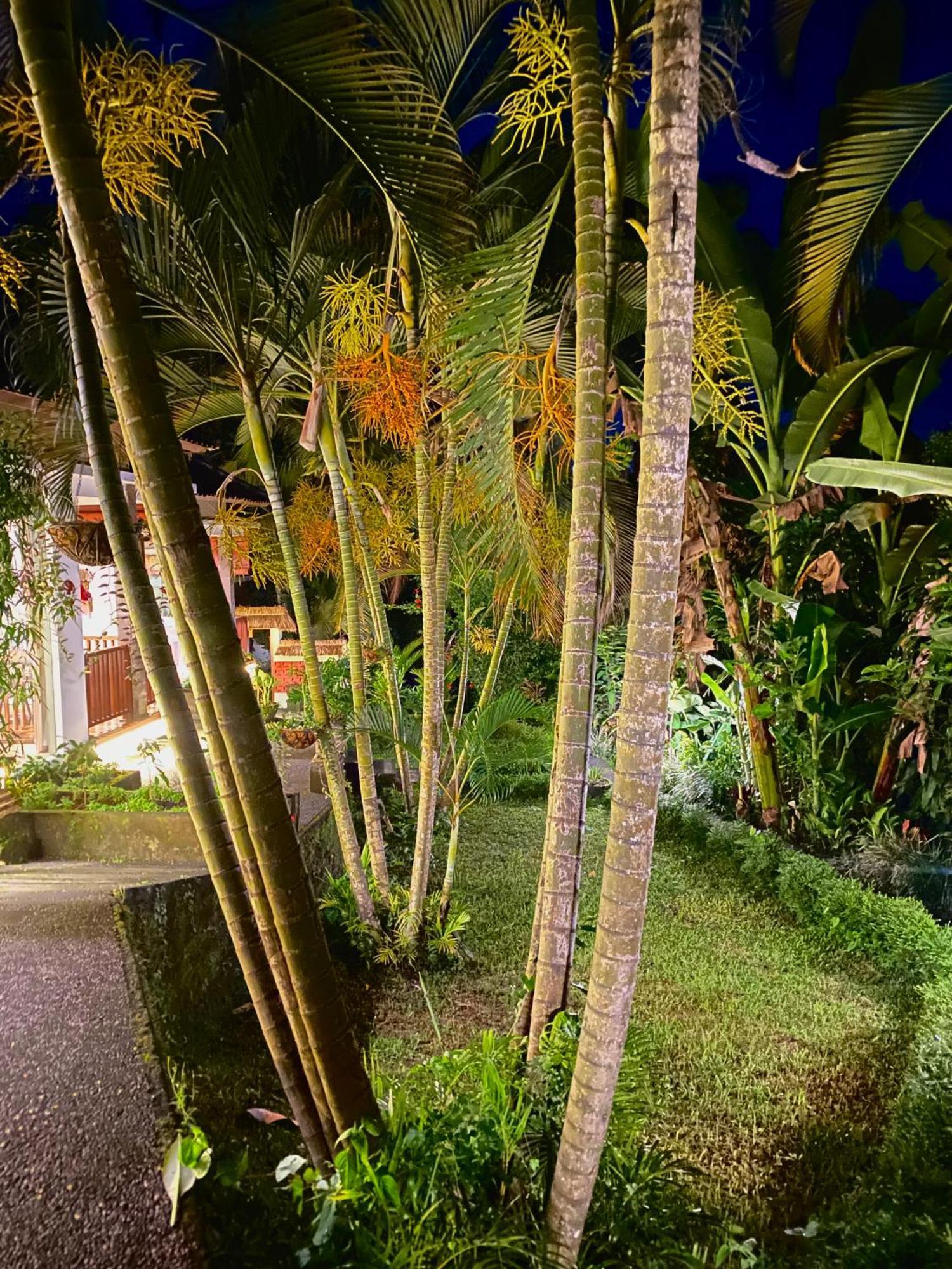 Ardan Maison Ubud ภายนอก รูปภาพ